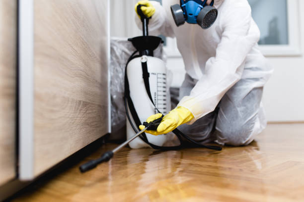 Best Commercial Pest Control Services  in Lyons, NJ