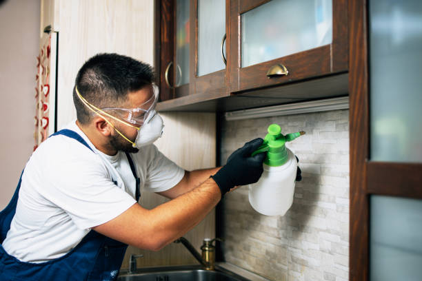 Best Pest Control Near Me  in Lyons, NJ