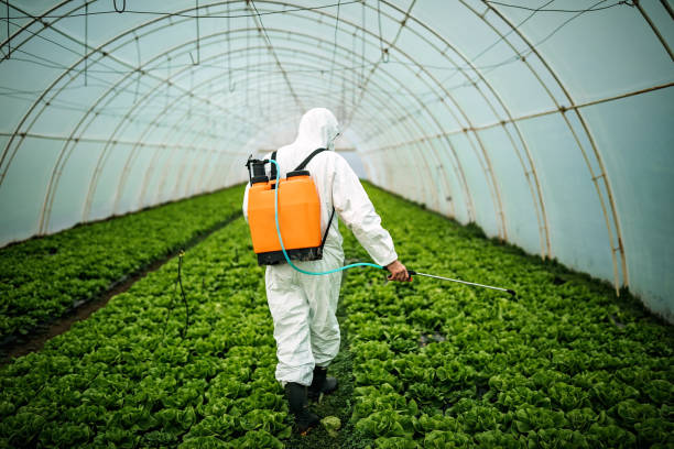 Best Pest Control Near Me  in Lyons, NJ