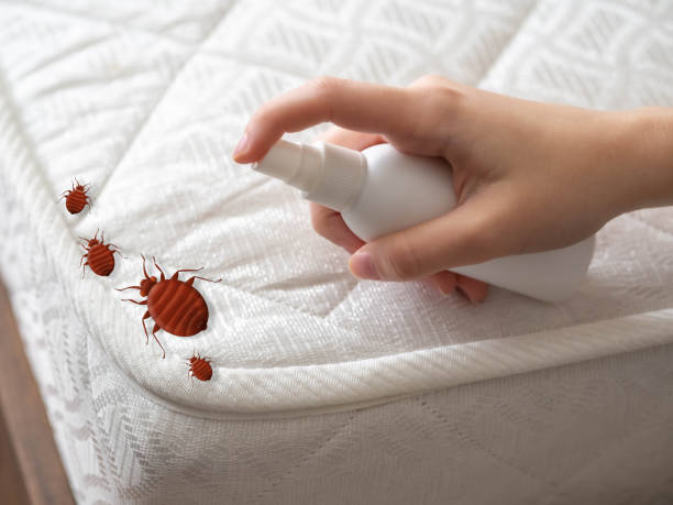 Best Emergency Pest Control  in Lyons, NJ