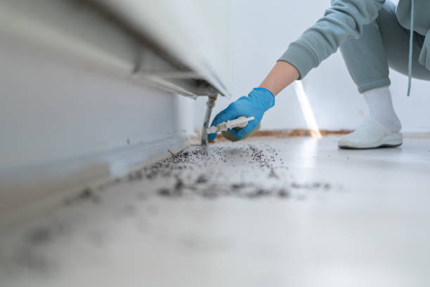 Best Pest Control Treatment  in Lyons, NJ